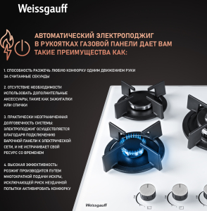   Weissgauff HGG 451 WGH