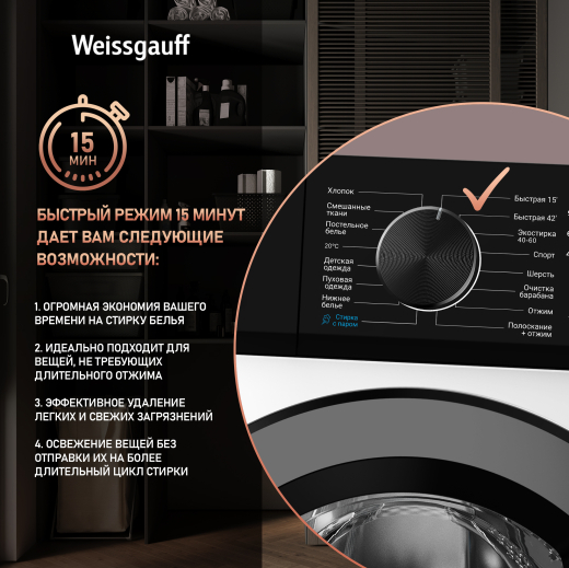 ���������� ������ � ���������� � ����� Weissgauff WM 4506 LED