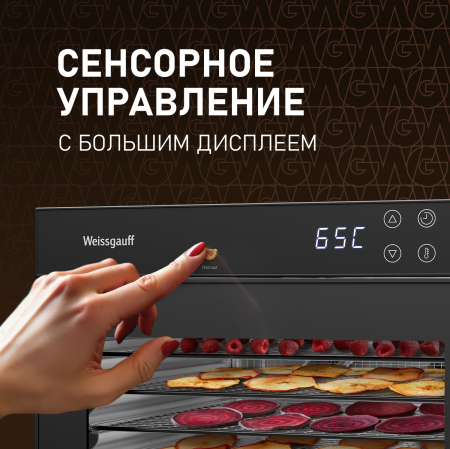  Weissgauff WDH 110 Digital Dry Pro