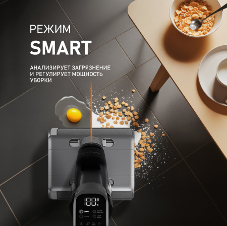 ������������ ������������ ������� ����� � ������� ������ (2 � 1) Weissgauff V22 BLDC 250 Graphite DoubleSide AquaPro SelfDry