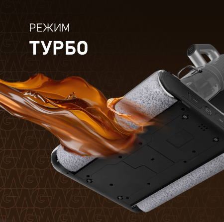 ������������ ������������ ������� ����� � ������� ������ (2 � 1) Weissgauff V22 BLDC 250 Graphite DoubleSide AquaPro SelfDry