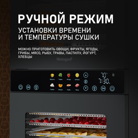 ���������� Weissgauff WDH 212 Digital Compact