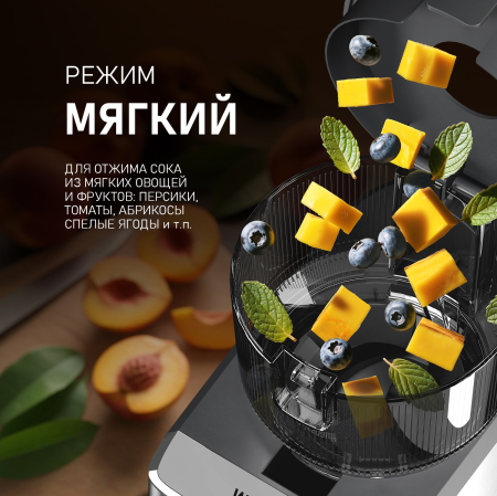 �������� c������������ Weissgauff WSJ 215 SD Digital Juicy Max