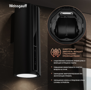 ������� �������������� ���������� � ���������� Weissgauff Sun BLDC BL