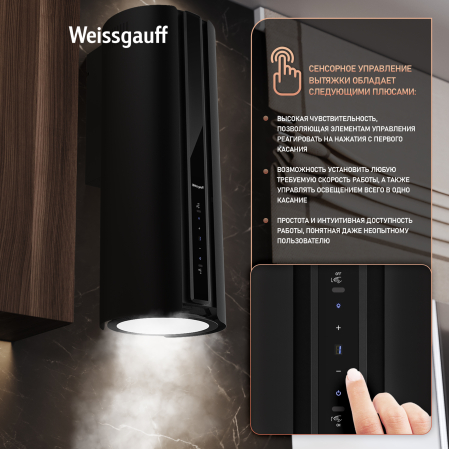 ������� �������������� ���������� � ���������� Weissgauff Sun BLDC BL