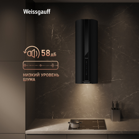 ������� �������������� ���������� � ���������� Weissgauff Sun BLDC BL