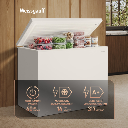����������� ���� � ���������� � �������� ������������ Weissgauff WFH-300 Inverter