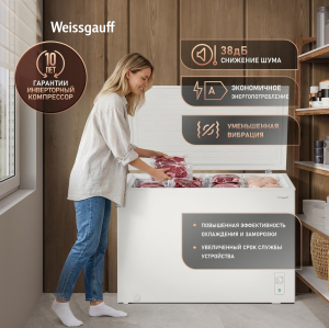 ����������� ���� � ���������� � �������� ������������ Weissgauff WFH-300 Inverter