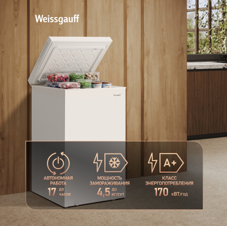 ����������� ���� � ���������� � �������� ������������ Weissgauff WFH-100 Inverter