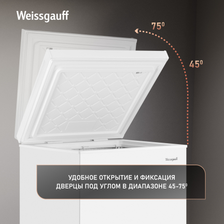 ����������� ���� � ���������� � �������� ������������ Weissgauff WFH-100 Inverter