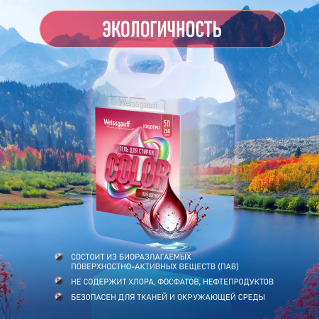 ���� ��� ������ Weissgauff COLOR, ����������, 5 �