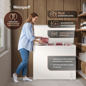 ����������� ���� � ���������� � �������� ������������ Weissgauff WFH-250 Inverter