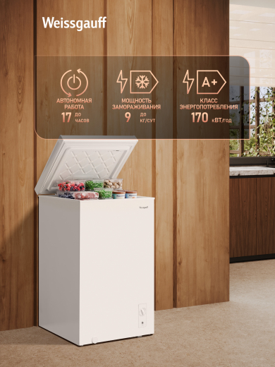 ����������� ���� � ���������� � �������� ������������ Weissgauff WFH-100 Inverter