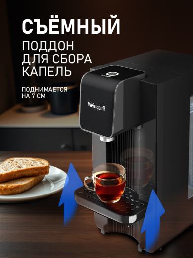 �������� ��������� Weissgauff WWT 2500 B