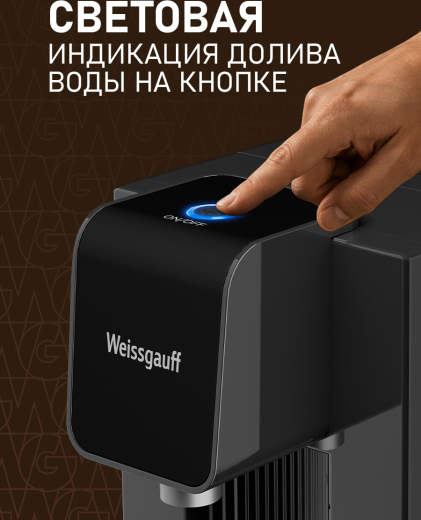 �������� ��������� Weissgauff WWT 2500 B