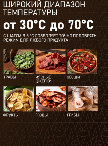 ���������� Weissgauff WDH 100 Smart Dry