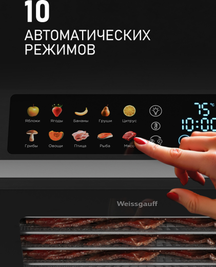 ���������� Weissgauff WDH 308 Multi Compact 