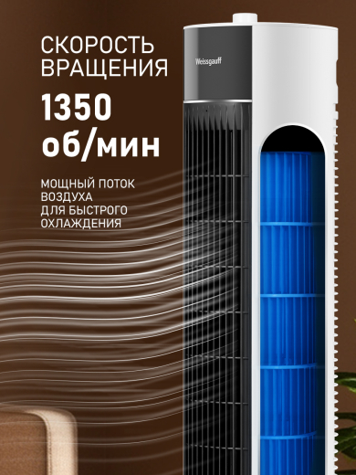 ���������� ��������� �������� � ������� ����������� Weissgauff WFC-95 W Water