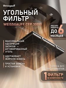 �������� ������ Weissgauff CFP 30010