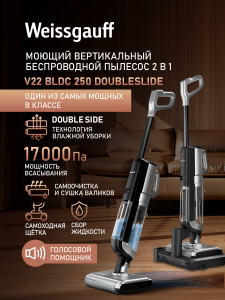 ������������ ������������ ������� ����� � ������� ������ (2 � 1) Weissgauff V22 BLDC 250 Graphite DoubleSide AquaPro SelfDry