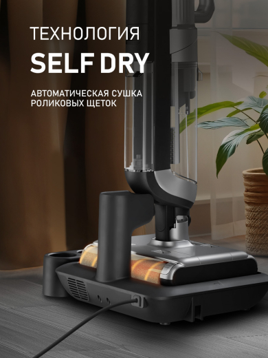 ������ ������������ ������������ ������� (2 � 1: ����� � ������� ������) Weissgauff V22 BLDC 250 Graphite DoubleSide AquaPro SelfDry