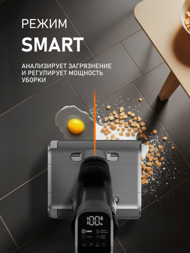 ������ ������������ ������������ ������� (2 � 1: ����� � ������� ������) Weissgauff V22 BLDC 250 Graphite DoubleSide AquaPro SelfDry