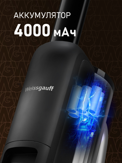 ������ ������������ ������������ ������� (2 � 1: ����� � ������� ������) Weissgauff V22 BLDC 250 Graphite DoubleSide AquaPro SelfDry