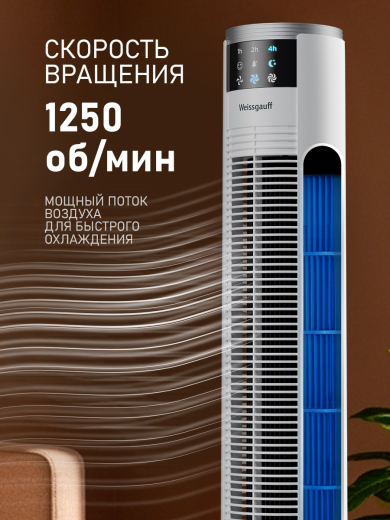 ���������� ��������� �������� Weissgauff WFC-100 W