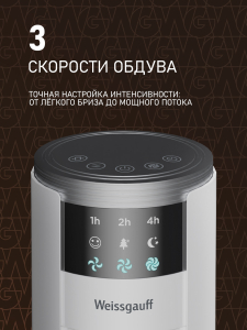 ���������� ��������� �������� Weissgauff WFC-100 W