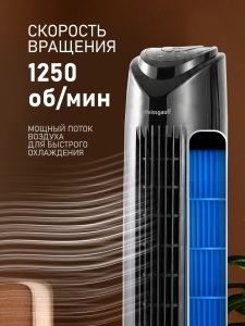���������� ��������� �������� Weissgauff WFC-80 B