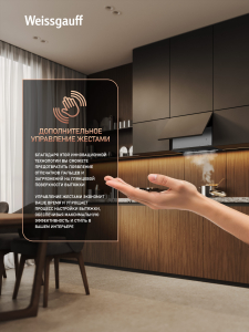 �������� ������������ ������� Weissgauff BOX 900 Remove Touch Black Glass