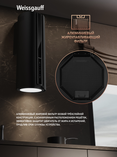 ������� �������������� ���������� � ���������� Weissgauff Sun BLDC BL