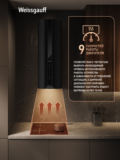 ������� �������������� ���������� � ���������� Weissgauff Sun BLDC BL