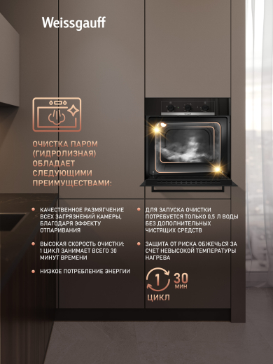 ������� ���� Weissgauff EOM 105 B 