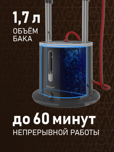 ������������ ������������ Weissgauff WGS 252 DW Steam Iron Pro