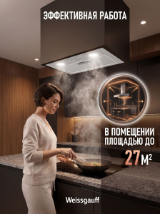 �������� ������������ ������� Weissgauff Dubhe 450 Inox