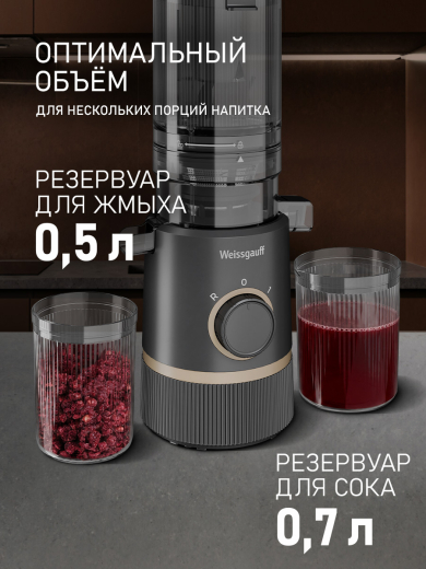 �������� c������������ Weissgauff WSJ 205 MS Fresh Pro