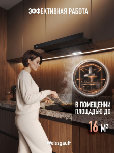 �������� ������������ �������  Weissgauff TEL 06 1M BM