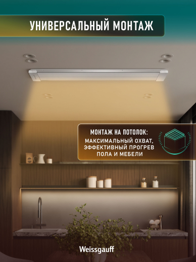 ������������ ������������ Weissgauff WIH 1000