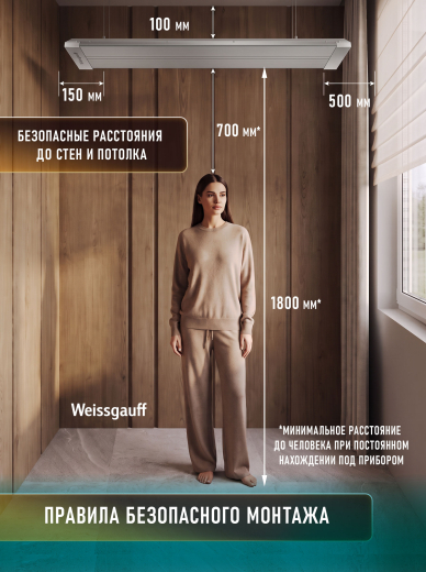 ������������ ������������ Weissgauff WIH 1000