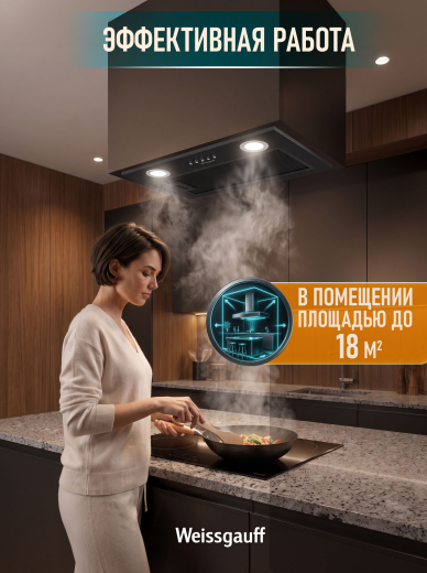 �������� ������������ ������� Weissgauff Box 600 Black Edition