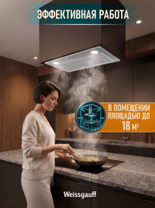 �������� ������������ ������� Weissgauff Box 600 Inox