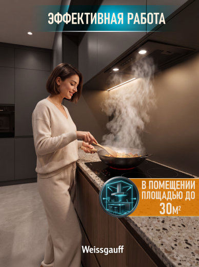 �������� ������������ ������� Weissgauff Box 1000 BL Sensor