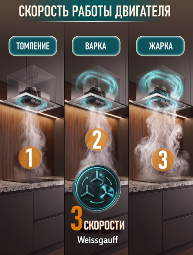 �������� ������������ ������� Weissgauff Dubhe 450 Inox