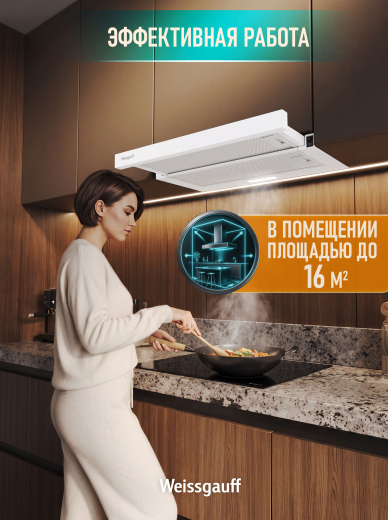 �������� ������������ �������  Weissgauff TEL 06 1M WM
