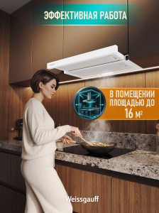 �������� ������������ �������  Weissgauff TEL 06 1M WM
