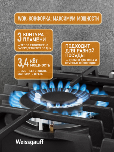 �������� ������ Weissgauff HGG 451 BFh Nano Matt Glass
