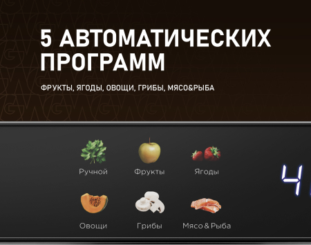 WDH 110 Digital Dry Pro (89178)