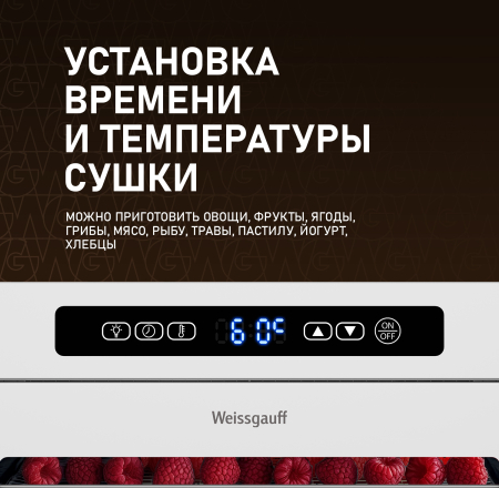 WDH 216 Digital Maxi Dry (107705)