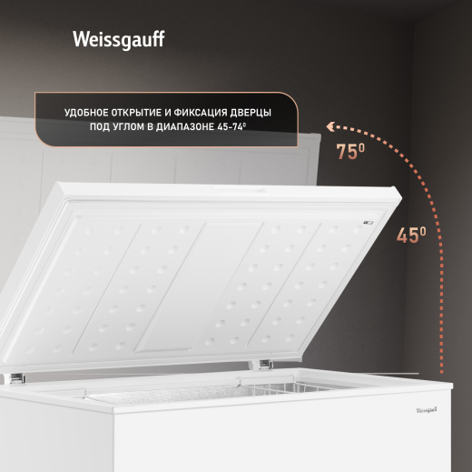 WFH-250 Inverter (127906)